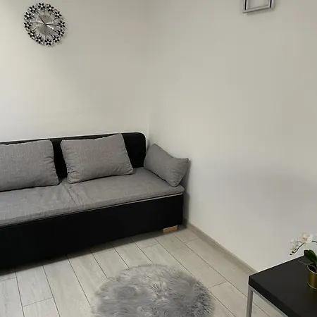 Sandy - 1st Row At Sea